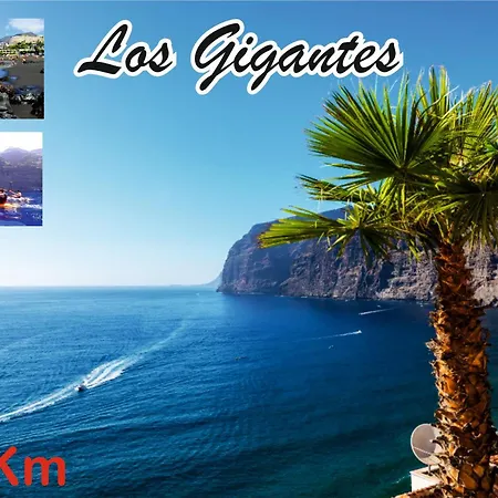 Maoli B * Icod De Los Vinos